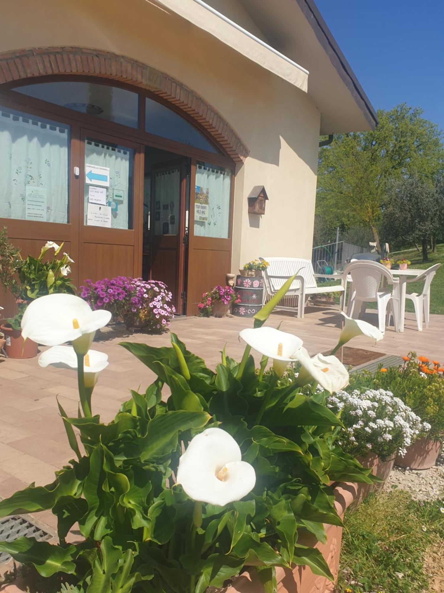 Agriturismo Val Della Pieve Anghiari Exterior foto