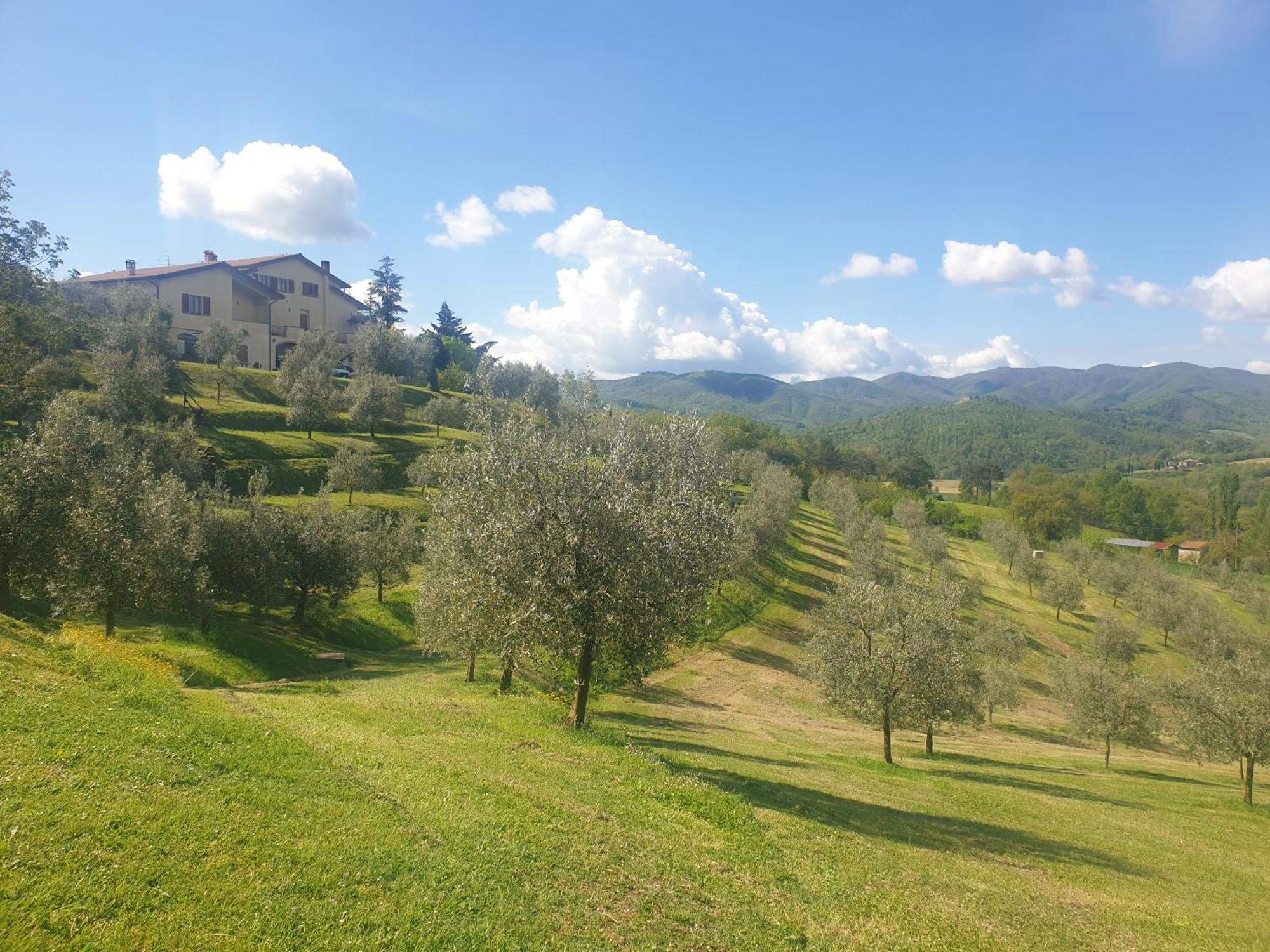 Agriturismo Val Della Pieve Anghiari Exterior foto