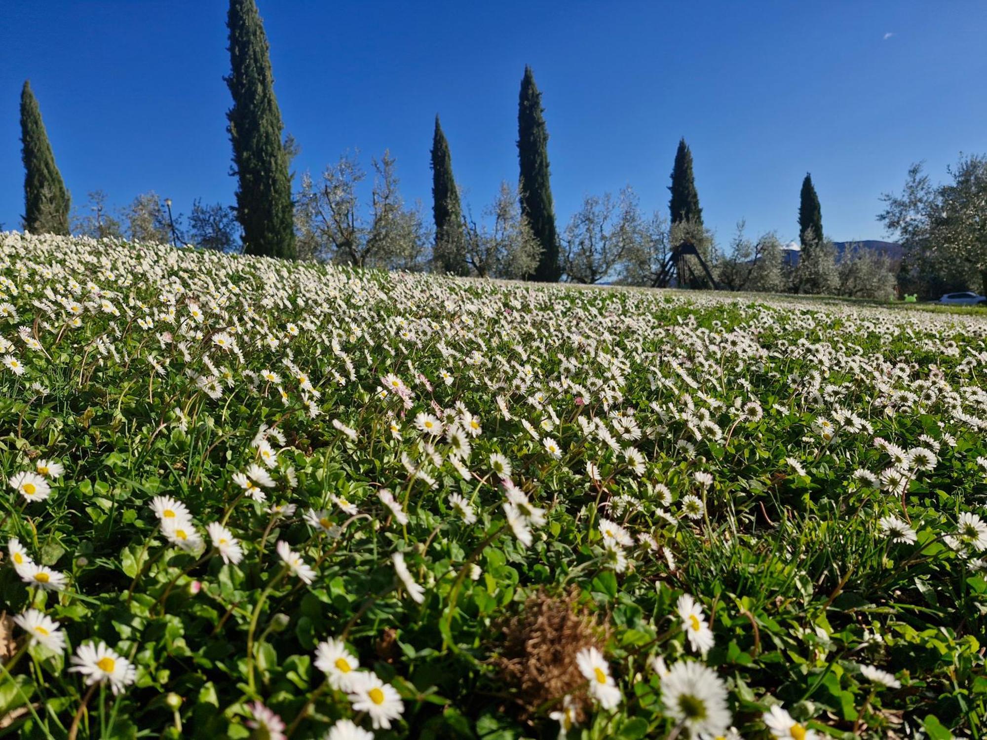 Agriturismo Val Della Pieve Anghiari Exterior foto